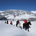 In Near Penkenbahn Lift マイヤーホーフェン